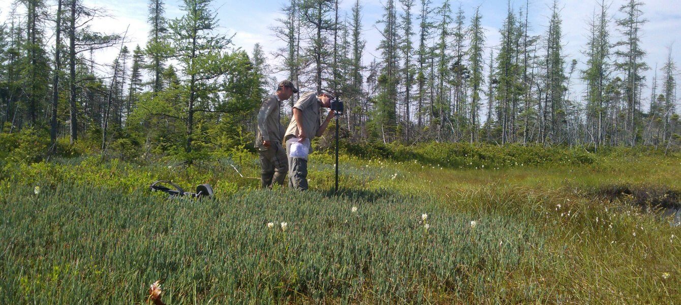 Surveiller l’intégrité des écosystèmes riverains