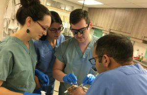 Laboratoire d'anatomie - formation neurochirurgie