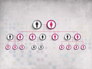 Graphique - Illustration de la malédiction maternelle