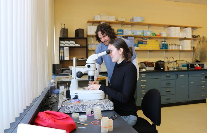 Contrôler la prolifération des cellules souches pour vaincre le cancer