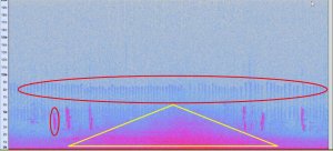 Captation de sons sur le campus de l'UQTR.