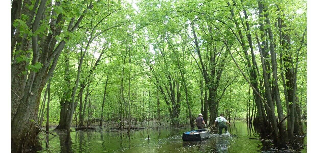 Trouver des solutions pour concilier agriculture et protection du lac Saint-Pierre