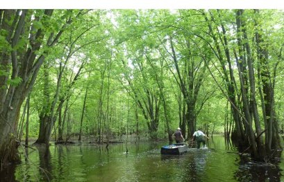 Trouver des solutions pour concilier agriculture et protection du lac Saint-Pierre