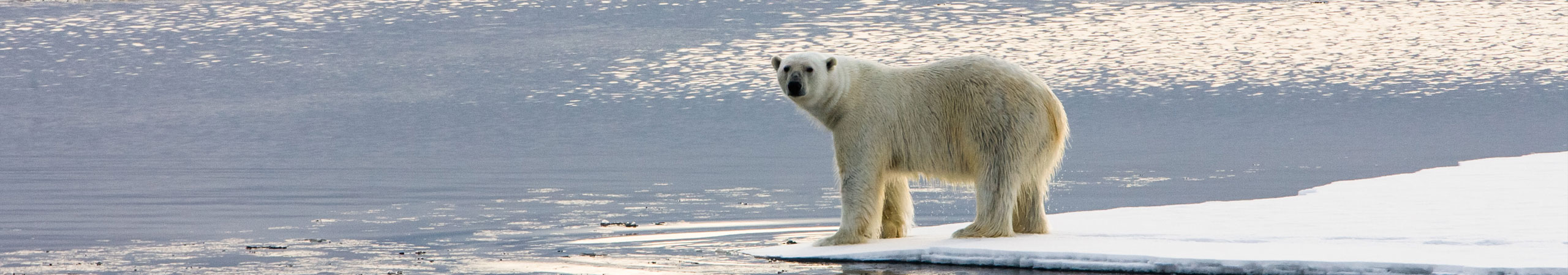 Changements climatiques: des effets à surveiller