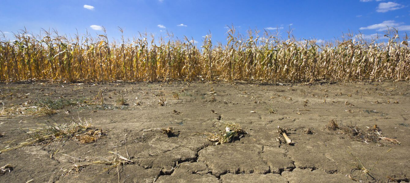 La sécheresse sera la principale menace sur les ressources en eau au Québec