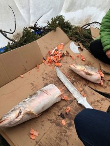 Participation de la professeure et biochimiste Isabel Desgagné-Penix à l'Expo-sciences autochtone Québec 2019, à Kuujjuaq au Nunavik.