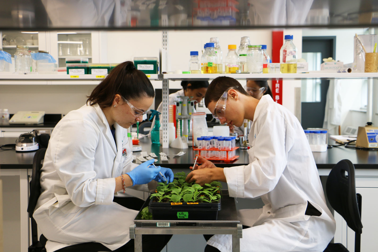 Chercheurs de demain: stimuler l’intérêt des jeunes pour la science
