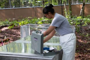 rushali-dargan-site-restes_sept2020