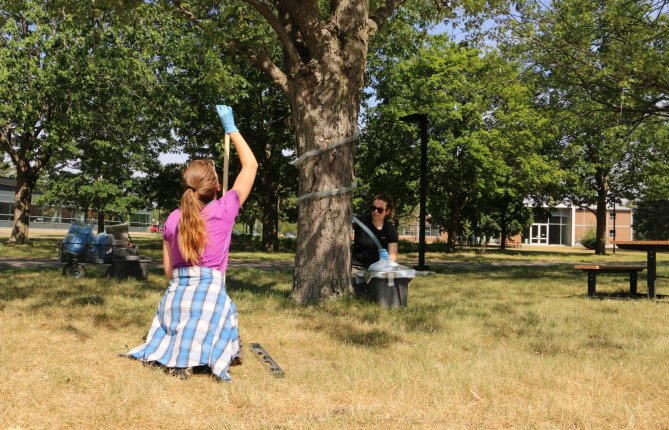 Collecteurs d’eau sur le campus: bien plus que de la pluie