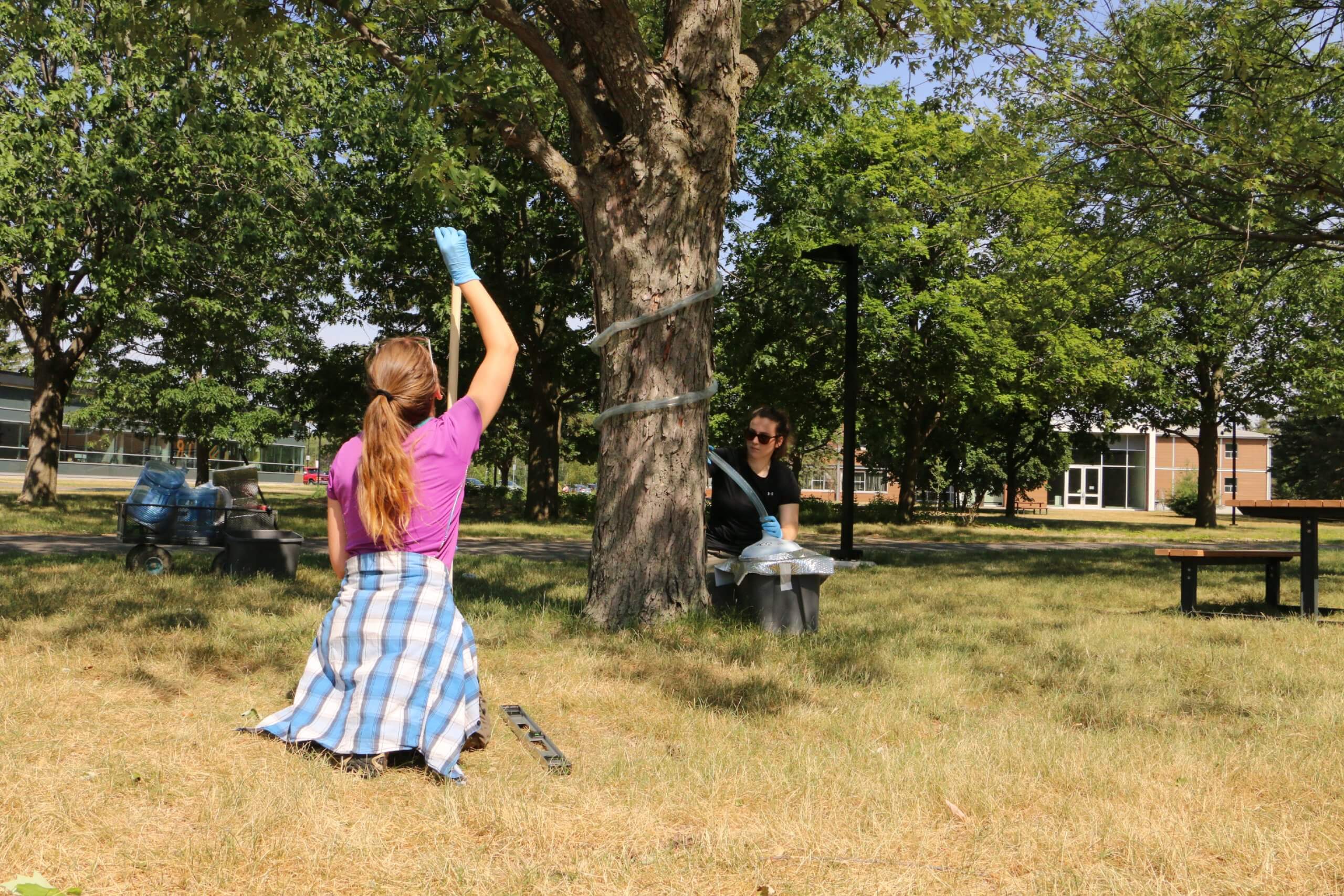 Collecteurs d’eau sur le campus: bien plus que de la pluie