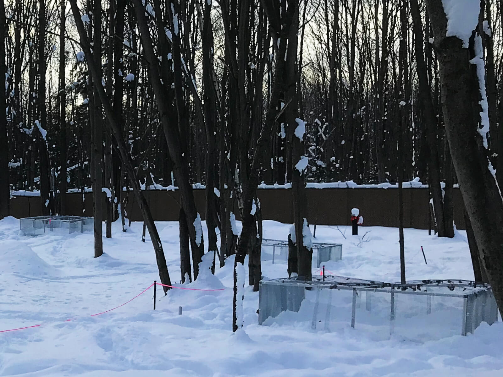 Découverte au site REST[ES]: la décomposition humaine se poursuit pendant l’hiver