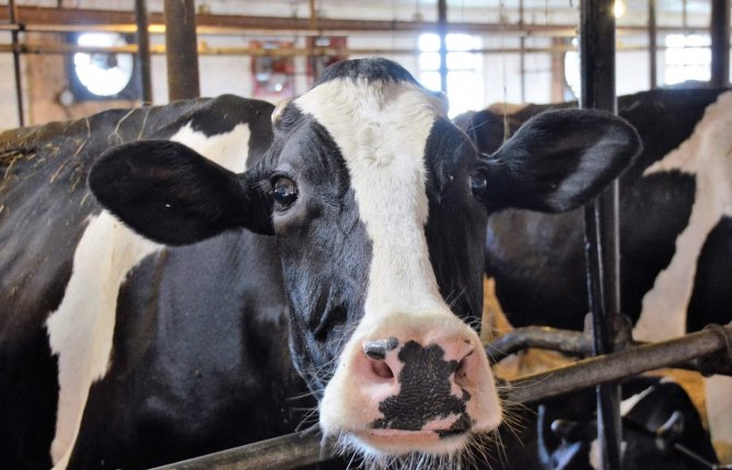 Quand le génie électrique vient en aide aux agriculteurs