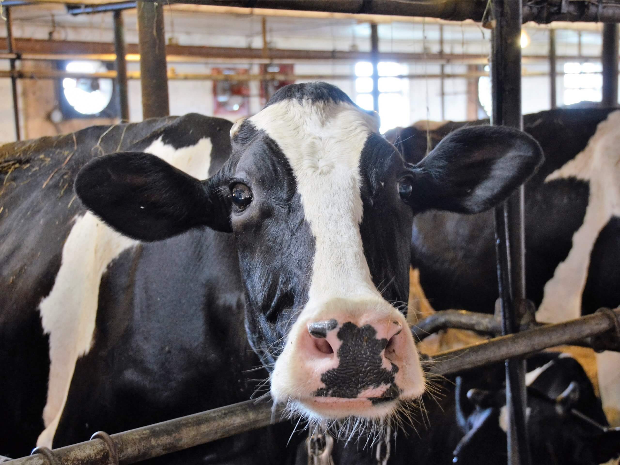 Quand le génie électrique vient en aide aux agriculteurs