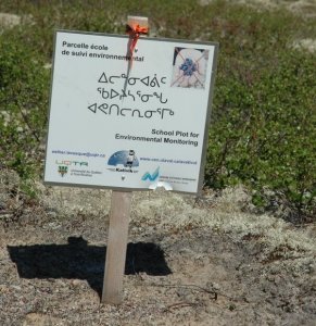 projet-avativut-ecriteau-petits-fruits