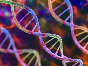 chaine-adn-image-istock