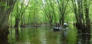 inondation-plaine-lac-st-pierre