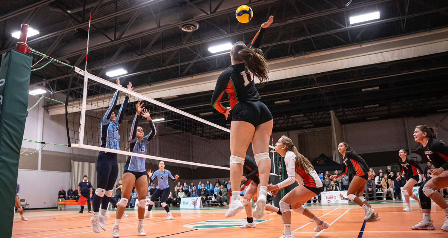 Les Patriotes battues par les Citadins