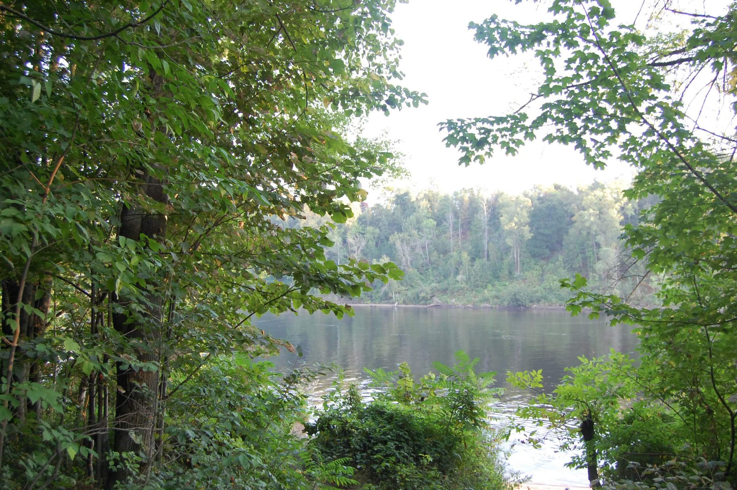 Le Boisé des Estacades : un trésor urbain menacé à Trois-Rivières