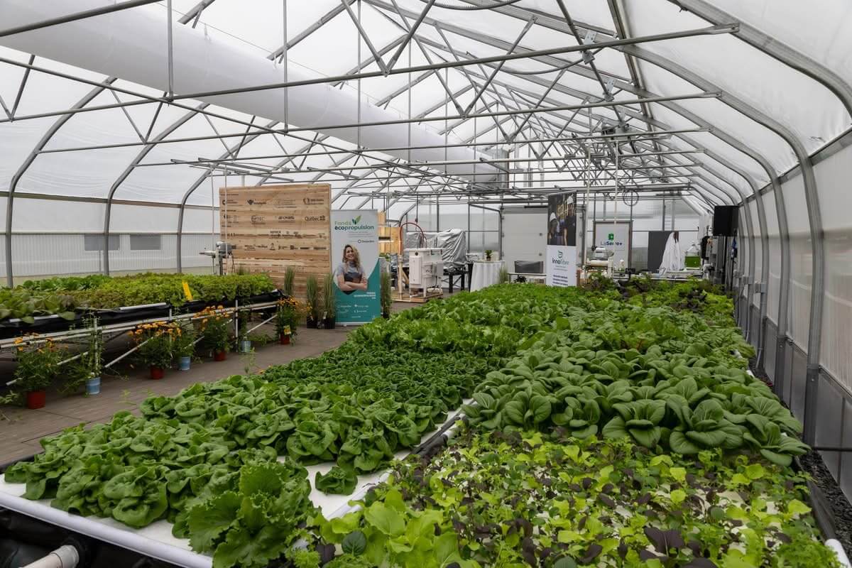 L’UQTR et ses partenaires reconduisent leur partenariat