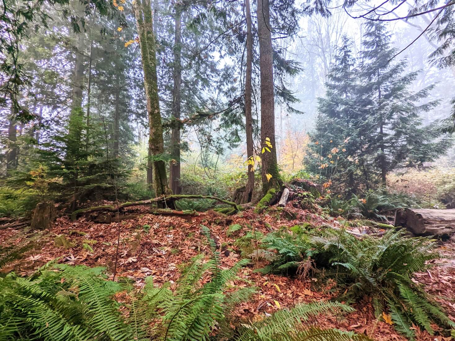 Les microorganismes pètent… et ça pue